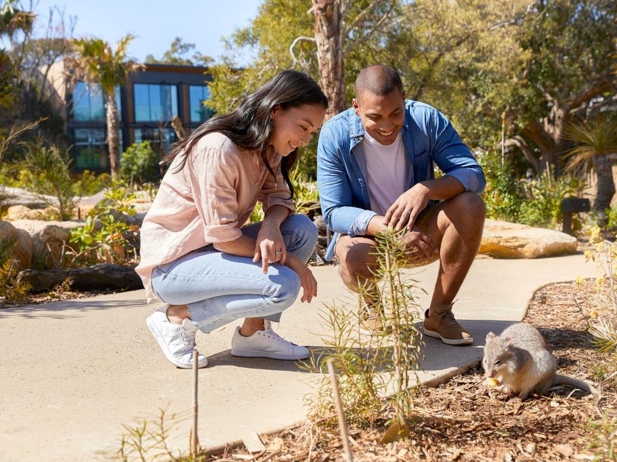 Wildlife Retreat At Taronga Hotel Sydney Exterior photo